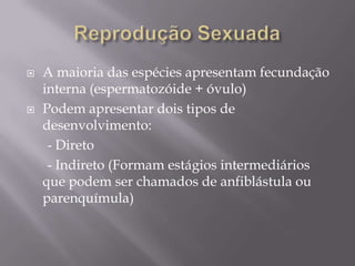 Filo CnidariaCaracterísticas Principais<br />Knide= urticante<br />Cerca de 12 mil espécies<br />Representados por pólipos...
