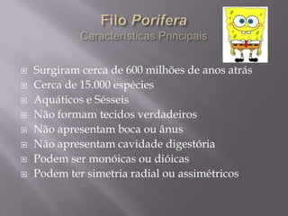 Filo PoriferaCaracterísticas Principais<br />Surgiram cerca de 600 milhões de anos atrás<br />Cerca de 15.000 espécies<br ...