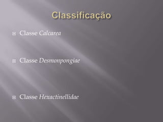 Classificação<br />Classe Calcarea<br />Classe Desmonpongiae<br />Classe Hexactinellidae<br />