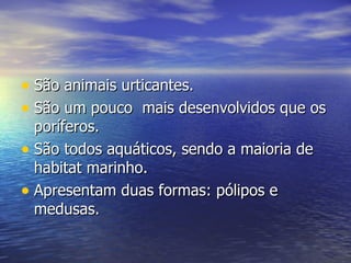 • São animais urticantes.
• São um pouco mais desenvolvidos que os
  poríferos.
• São todos aquáticos, sendo a maioria de
  habitat marinho.
• Apresentam duas formas: pólipos e
  medusas.
 