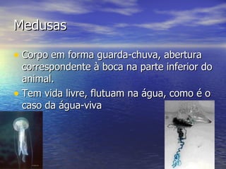 Medusas

• Corpo em forma guarda-chuva, abertura
  correspondente à boca na parte inferior do
  animal.
• Tem vida livre, flutuam na água, como é o
  caso da água-viva
 