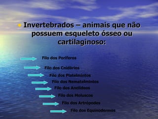 • Invertebrados – animais que não
   possuem esqueleto ósseo ou
         cartilaginoso:

      Filo dos Poríferos

       Filo dos Cnidários
         Filo dos Platelmintos
           Filo dos Nematelmintos
            Filo dos Anelídeos
              Filo dos Moluscos
                Filo dos Artrópodes
                    Filo dos Equinodermos
 