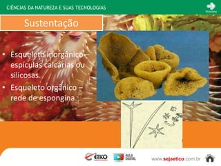 CIÊNCIAS DA NATUREZA E SUAS TECNOLOGIAS
                                                                  Próximo



       Sustentação

• Esqueleto inorgânico –
  espículas calcárias ou
  silicosas.
• Esqueleto orgânico –
  rede de espongina.




                                           www.sejaetico.com.br
 