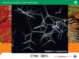 CIÊNCIAS DA NATUREZA E SUAS TECNOLOGIAS
                                                                 Próximo




                                          www.sejaetico.com.br
 