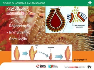 CIÊNCIAS DA NATUREZA E SUAS TECNOLOGIAS
                                                                 Próximo


   Reprodução
   assexuada


   - Regeneração;
   - Brotamento;
                                                     Gema
   - Gemulação.




                                                   Brotamento


                                          www.sejaetico.com.br
 