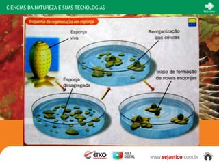 CIÊNCIAS DA NATUREZA E SUAS TECNOLOGIAS
                                                                 Próximo




                                          www.sejaetico.com.br
 