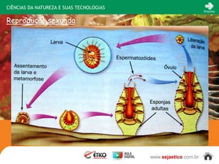 CIÊNCIAS DA NATUREZA E SUAS TECNOLOGIAS
                                                                 Próximo


Reprodução sexuada




                                          www.sejaetico.com.br
 