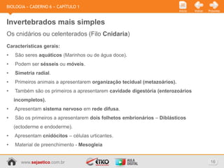 BIOLOGIA » CADERNO 6 » CAPÍTULO 1
                                                                           Início   Voltar   Próximo



Invertebrados mais simples
Os cnidários ou celenterados (Filo Cnidaria)
Características gerais:
•   São seres aquáticos (Marinhos ou de água doce).
•   Podem ser sésseis ou móveis.
•   Simetria radial.
•   Primeiros animais a apresentarem organização tecidual (metazoários).
•   Também são os primeiros a apresentarem cavidade digestória (enterozoários
    incompletos).
•   Apresentam sistema nervoso em rede difusa.
•   São os primeiros a apresentarem dois folhetos embrionários – Diblásticos
    (ectoderme e endoderme).
•   Apresentam cnidócitos – células urticantes.
•   Material de preenchimento - Mesogleia


       www.sejaetico.com.br                                                                   16
 