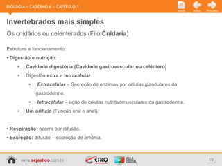BIOLOGIA » CADERNO 6 » CAPÍTULO 1
                                                                                Início   Voltar   Próximo



Invertebrados mais simples
Os cnidários ou celenterados (Filo Cnidaria)

Estrutura e funcionamento:
• Digestão e nutrição:
     •     Cavidade digestória (Cavidade gastrovascular ou celêntero)
     •     Digestão extra e intracelular.
            •   Extracelular – Secreção de enzimas por células glandulares da
                gastroderme.
            •   Intracelular – ação de células nutritivomusculares da gastroderme.
     •     Um orifício (Função oral e anal).


• Respiração: ocorre por difusão.
• Excreção: difusão – excreção de amônia.



         www.sejaetico.com.br                                                                      19
 