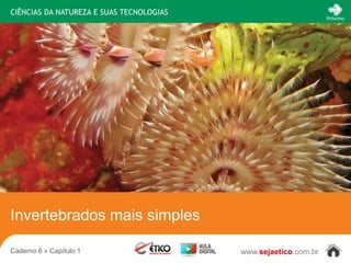CIÊNCIAS DA NATUREZA E SUAS TECNOLOGIAS
                                                                 Próximo




Invertebrados mais simples

Caderno 6 » Capítulo 1                    www.sejaetico.com.br
 