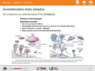 BIOLOGIA » CADERNO 6 » CAPÍTULO 1
                                               Início   Voltar   Próximo



Invertebrados mais simples
Os cnidários ou celenterados (Filo Cnidaria)




      www.sejaetico.com.br                                        21
 