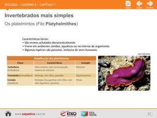 BIOLOGIA » CADERNO 6 » CAPÍTULO 1
                                        Início   Voltar   Próximo



Invertebrados mais simples
Os platelmintos (Filo Platyhelmithes)




      www.sejaetico.com.br                                 22
 