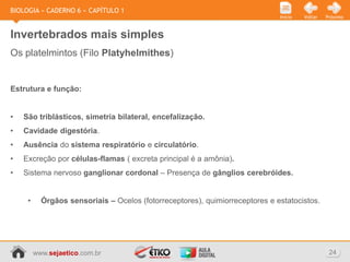 BIOLOGIA » CADERNO 6 » CAPÍTULO 1
                                                                              Início   Voltar   Próximo



Invertebrados mais simples
Os platelmintos (Filo Platyhelmithes)


Estrutura e função:


•   São triblásticos, simetria bilateral, encefalização.
•   Cavidade digestória.
•   Ausência do sistema respiratório e circulatório.
•   Excreção por células-flamas ( excreta principal é a amônia).
•   Sistema nervoso ganglionar cordonal – Presença de gânglios cerebróides.


     •     Órgãos sensoriais – Ocelos (fotorreceptores), quimiorreceptores e estatocistos.




         www.sejaetico.com.br                                                                    24
 