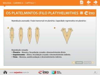BIOLOGIA » CADERNO 6 » CAPÍTULO 1
                                    Início   Voltar   Próximo




      www.sejaetico.com.br                             26
 