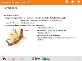 BIOLOGIA » CADERNO 6 » CAPÍTULO 2
                                    Início   Voltar   Próximo



Helmitíases




      www.sejaetico.com.br                             27
 