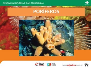 CIÊNCIAS DA NATUREZA E SUAS TECNOLOGIAS
                                                                 Próximo




                             PORÍFEROS




                                          www.sejaetico.com.br
 