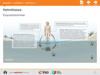 BIOLOGIA » CADERNO 6 » CAPÍTULO 2
                                    Início   Voltar   Próximo



Helmitíases
Esquistossomose




      www.sejaetico.com.br                             31
 