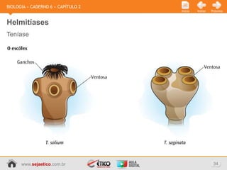 BIOLOGIA » CADERNO 6 » CAPÍTULO 2
                                    Início   Voltar   Próximo



Helmitíases
Teníase




      www.sejaetico.com.br                             34
 