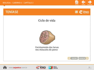 BIOLOGIA » CADERNO 6 » CAPÍTULO 2
                                    Início   Voltar   Próximo




      www.sejaetico.com.br                             35
 
