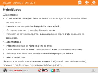 BIOLOGIA » CADERNO 6 » CAPÍTULO 2
                                                                          Início   Voltar   Próximo



Helmitíases
Cisticercose
•   O ser humano, ao ingerir ovos da Taenia solium na água ou em alimentos, como
    verduras cruas.
•   Homem assume o papel de hospedeiro intermediário.
•   Os ovos rompem-se no intestino, liberando larvas.
•   Penetram na corrente sanguínea, instalando-se em algum órgão originando os
    cisticercos.
A autoinfestação:
•   Proglotes grávidas se rompem perto do ânus.
•   Ovos passam para as mãos, sendo levados à boca (autoinfestação externa).
•   Em casos mais raros pode ocorrer a autoinfestação por via interna.
•   Neurocisticercose:
cisticercos se instalam no sistema nervoso central (encéfalo e/ou medula espinhal),
provocando dor de cabeça, convulsões e distúrbios psíquicos.

       www.sejaetico.com.br                                                                  37
 