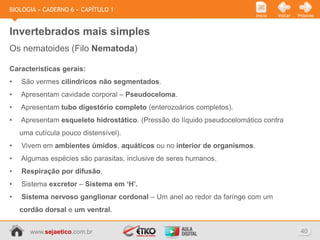 BIOLOGIA » CADERNO 6 » CAPÍTULO 1
                                                                         Início   Voltar   Próximo



Invertebrados mais simples
Os nematoides (Filo Nematoda)

Características gerais:
•   São vermes cilíndricos não segmentados.
•   Apresentam cavidade corporal – Pseudoceloma.
•   Apresentam tubo digestório completo (enterozoários completos).
•   Apresentam esqueleto hidrostático. (Pressão do líquido pseudocelomático contra
    uma cutícula pouco distensível).
•   Vivem em ambientes úmidos, aquáticos ou no interior de organismos.
•   Algumas espécies são parasitas, inclusive de seres humanos.
•   Respiração por difusão.
•   Sistema excretor – Sistema em ‘H’.
•   Sistema nervoso ganglionar cordonal – Um anel ao redor da farínge com um
    cordão dorsal e um ventral.


       www.sejaetico.com.br                                                                 40
 