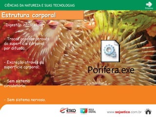 CIÊNCIAS DA NATUREZA E SUAS TECNOLOGIAS
                                                                  Próximo


Estrutura corporal
-Digestão intracelular;


- Trocas gasosas através
da superfície corporal,
por difusão;


- Excreção através da
superfície corporal;


- Sem sistema
circulatório;


- Sem sistema nervoso.


                                           www.sejaetico.com.br
 