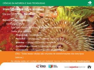 CIÊNCIAS DA NATUREZA E SUAS TECNOLOGIAS
                                                                                         Próximo


Invertebrados mais simples
Os poríferos (Filo Porifera)

Estrutura e funcionamento:
•   Composição celular:
     •   Dois tipos básicos de células: (Coanócito e amebócito)
     •   Outros tipos celulares:
          •   Pinacócitos – revestimento.
          •   Porócitos – Células que constituem poros celulares.
          •   Miócitos – Células com funções contráteis.
          •   Esclerócitos – Células formadoras de espículas.
          •   Gametócitos – Células com funções de gametas.
              (Obs.: Todas essas células são oriundas de transformações dos dois tipos
              básicos.)
     •   As células estão em contato com um material viscoso conhecido como mesênquima.

                                                                  www.sejaetico.com.br
 