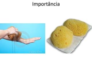 Importância
 