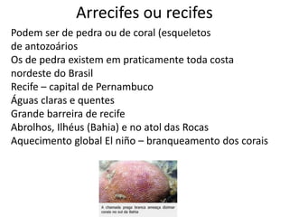 Arrecifes ou recifes
Podem ser de pedra ou de coral (esqueletos
de antozoários
Os de pedra existem em praticamente toda costa
nordeste do Brasil
Recife – capital de Pernambuco
Águas claras e quentes
Grande barreira de recife
Abrolhos, Ilhéus (Bahia) e no atol das Rocas
Aquecimento global El niño – branqueamento dos corais
 