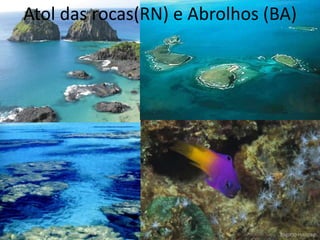 Atol das rocas(RN) e Abrolhos (BA)
 