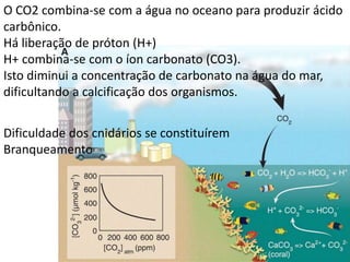O CO2 combina-se com a água no oceano para produzir ácido
carbônico.
Há liberação de próton (H+)
H+ combina-se com o íon carbonato (CO3).
Isto diminui a concentração de carbonato na água do mar,
dificultando a calcificação dos organismos.
Dificuldade dos cnidários se constituírem
Branqueamento
 