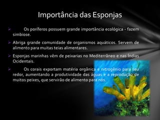 Importância das Esponjas
        Os poríferos possuem grande importância ecológica - fazem
    simbiose.
 Abriga grande comunidade de organismos aquáticos. Servem de
  alimento para muitas teias alimentares.
 Esponjas marinhas vêm de peixarias no Mediterrâneo e nas Índias
  Ocidentais.
         Os corais exportam matéria orgânica e nitrogênio para seu
    redor, aumentando a produtividade das águas e a reprodução de
    muitos peixes, que servirão de alimento para nós.
 