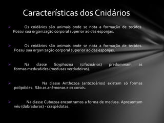Características dos Cnidários
         Os cnidários são animais onde se nota a formação de tecidos.
    Possui sua organização corporal superior ao das esponjas.


        Os cnidários são animais onde se nota a formação de tecidos.
    Possui sua organização corporal superior ao das esponjas.


        Na    classe   Scyphozoa     (cifozoários)   predominam    as
    formas medusóides (medusas verdadeiras).


                   Na classe Anthozoa (antozoários) existem só formas
    polipóides. São as anêmonas e os corais.


          Na classe Cubozoa encontramos a forma de medusa. Apresentam
    véu (dobraduras) - craspédotas.
 