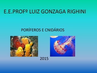 E.E.PROFº LUIZ GONZAGA RIGHINI
PORÍFEROS E CNIDÁRIOS
2015
 