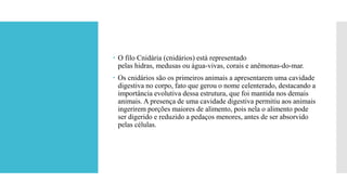  O filo Cnidária (cnidários) está representado
pelas hidras, medusas ou água-vivas, corais e anêmonas-do-mar.
 Os cnidários são os primeiros animais a apresentarem uma cavidade
digestiva no corpo, fato que gerou o nome celenterado, destacando a
importância evolutiva dessa estrutura, que foi mantida nos demais
animais. A presença de uma cavidade digestiva permitiu aos animais
ingerirem porções maiores de alimento, pois nela o alimento pode
ser digerido e reduzido a pedaços menores, antes de ser absorvido
pelas células.
 