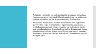  A digestão é portanto, em parte extracelular e em parte intracelular.
Os restos não-aproveitáveis são liberados pela boca. Na região oral,
estão os tentáculos, que participam na captura de alimentos.
 As camadas de célula que ocorrem nos cnidários são: a epiderme,
que reveste o corpo externamente, e a gastroderme, que reveste a
cavidade gastrovascular. Entre a epiderme e a gastroderme existe
uma camada gelatinosa denominada mesogléia. Essa camada é mais
abundante nas medusas do que nos pólipos e, por isso, as medusas
têm aspecto gelatinoso, fato que lhes rendeu a denominação popular
de "águas-vivas".
 