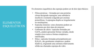 ELEMENTOS
ESQUELÉTICOS
• Fibras proteicas – formadas por uma proteína
córnea designada espongina, uma substância
insolúvel e resistente á digestão por enzimas
proteolíticas. A espongina dispõe-se irregularmente
no mesênquima;
• Espículas minerais– estes elementos podem ser
compostos por dois tipos de minerais:
• Carbonato de cálcio– espículas formadas por
CaCO3, podem apresentar formas variadas, desde
simples eixos rectos a formas complexas e
ramificadas;
• Sílica– espículas formadas principalmente por
H2Si3O7, são geralmente complexas e podem
fundir-se, originando uma estrutura relativamente
sólida nas chamadas esponjas-de-vidro.
Os elementos esqueléticos das esponjas podem ser de dois tipos básicos:
 