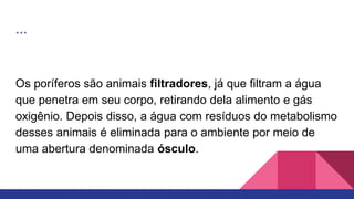 ...
Os poríferos são animais filtradores, já que filtram a água
que penetra em seu corpo, retirando dela alimento e gás
oxigênio. Depois disso, a água com resíduos do metabolismo
desses animais é eliminada para o ambiente por meio de
uma abertura denominada ósculo.
 