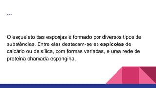 ...
O esqueleto das esponjas é formado por diversos tipos de
substâncias. Entre elas destacam-se as espícolas de
calcário ou de sílica, com formas variadas, e uma rede de
proteína chamada espongina.
 