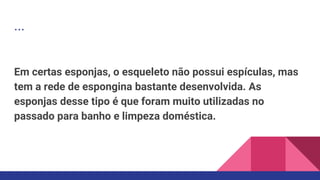 ...
Em certas esponjas, o esqueleto não possui espículas, mas
tem a rede de espongina bastante desenvolvida. As
esponjas desse tipo é que foram muito utilizadas no
passado para banho e limpeza doméstica.
 