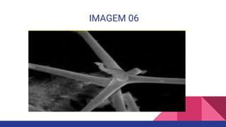 IMAGEM 06
 
