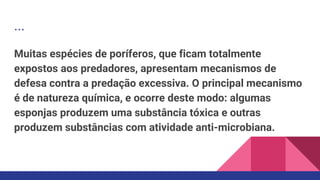 ...
Muitas espécies de poríferos, que ficam totalmente
expostos aos predadores, apresentam mecanismos de
defesa contra a predação excessiva. O principal mecanismo
é de natureza química, e ocorre deste modo: algumas
esponjas produzem uma substância tóxica e outras
produzem substâncias com atividade anti-microbiana.
 
