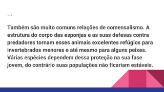 ...
Também são muito comuns relações de comensalismo. A
estrutura do corpo das esponjas e as suas defesas contra
predadores tornam esses animais excelentes refúgios para
invertebrados menores e até mesmo para alguns peixes.
Várias espécies dependem dessa proteção na sua fase
jovem, do contrário suas populações não ficariam estáveis.
 