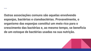...
Outras associações comuns são aquelas envolvendo
esponjas, bactérias e cianobactérias. Provavelmente, o
organismo das esponjas constitui um meio rico para o
crescimento das bactérias e, ao mesmo tempo, se beneficia
de um estoque de bactérias usadas na sua nutrição.
 