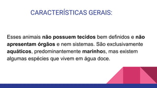 CARACTERÍSTICAS GERAIS:
Esses animais não possuem tecidos bem definidos e não
apresentam órgãos e nem sistemas. São exclusivamente
aquáticos, predominantemente marinhos, mas existem
algumas espécies que vivem em água doce.
 