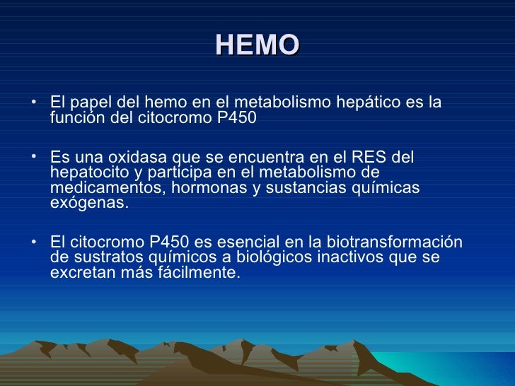Tipos de metabolismo mejores ideas para