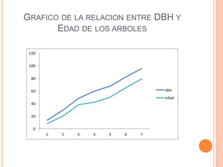 GRAFICO DE LA RELACION ENTRE DBH Y
       EDAD DE LOS ARBOLES

 120


 100


  80


  60                               dbh
                                   edad
  40


  20


   0
       1   2   3   4   5   6   7
 