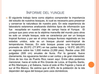 INFORME DEL YUNQUE
   El siguiente trabajo tiene como objetivo comprender la importancia
    del estudio de nuestros bosques, lo cual es necesario para preservar
    y conservar la naturaleza de nuestro país. En esta experiencia de
    laboratorio estaremos analizando distintos tipos de información que
    fue recopilada en nuestro viaje de campo hacia el Yunque. El
    yunque que para unos es la séptima maravilla del mundo para otros
    es solo un simple bosque, este se caracteriza por ser un bosque
    tropical lluvioso y por ser el único bosque lluvioso registrado en los
    estados unidos, este es un bosque pluvial semi-tropical de
    temperaturas frescas. En este bosque posee una temperatura
    promedio de 25.5ºC (77.9ºF) en las partes bajas y 18.5ºC (65.3ºF)
    en regiones sobre los 1,000 metros (3,289 pies). Recibe unas 200
    pulgadas (500 cm) anuales de lluvia. Por lo general, llueve
    diariamente, los aguaceros tienden a ser cortos y de gran intensidad.
    Once de los ríos de Puerto Rico nacen aquí. Entre ellos podemos
    mencionar, hacia el norte el Río Grande de Loíza, el Espíritu Santo,
    el Río Mameyes y el Sabana, hacia el este el Río Fajardo y hacia el
    sur el Río Blanco. Se estima que el 20% de la población de la isla
    dependen del agua del bosque para usos domésticos.
 