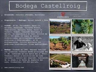 Bodega Castell d’Encús
Situación: Talarn, Pallars Jussà (Lérida)
Propietario / Enólogo: Raül Bobet y Joaquim
Molins / Raül...