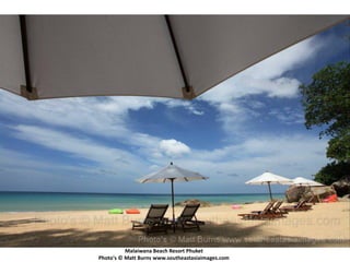 Malaiwana Beach Resort Phuket
Photo's © Matt Burns www.southeastasiaimages.com
 